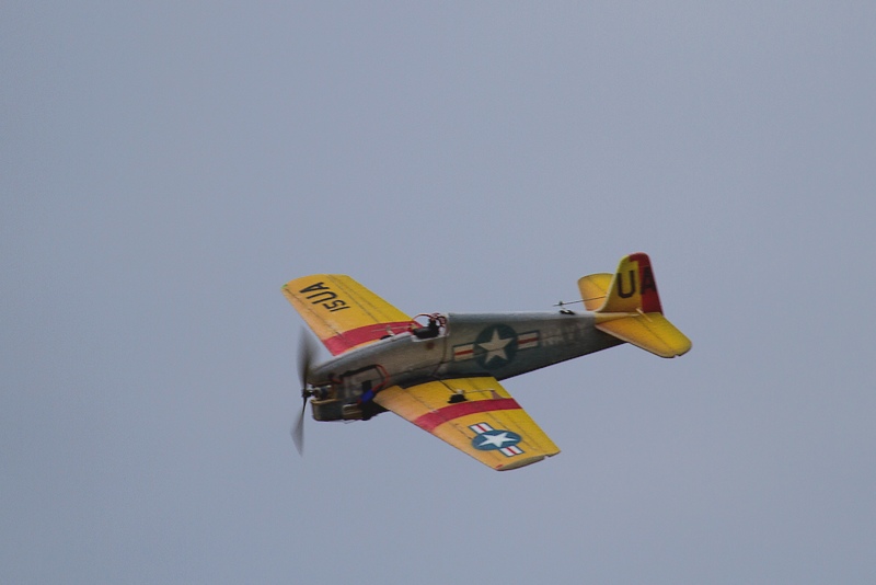 IMG_6631-2