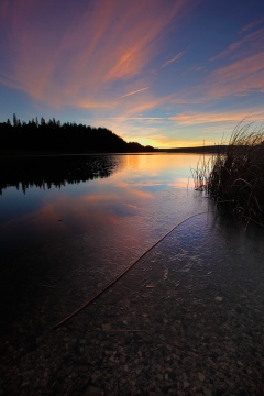 Le Lac des Taillères