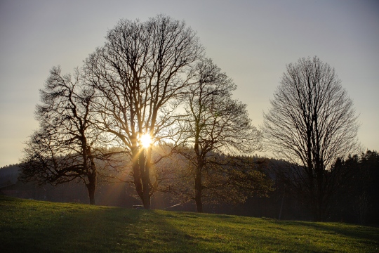Le Crozot