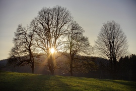 Le Crozot