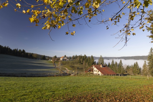 Les Cottards. Vallée de la Brévine