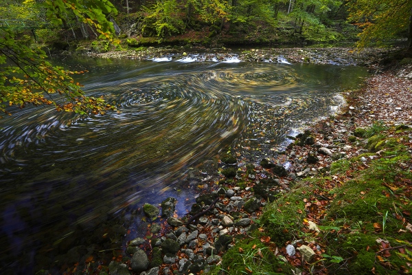 Les Gorges de l'Areuse