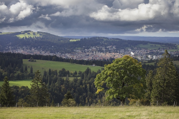 Mont-Perreux