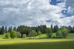 La Cibourg